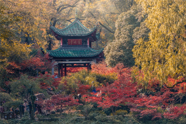長沙薪酬咨詢公司如何設(shè)計合理的薪酬結(jié)構(gòu)與體系？