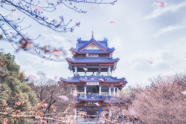 供應(yīng)鏈成本居高不下，無錫供應(yīng)鏈咨詢公司如何精準砍出利潤空間？