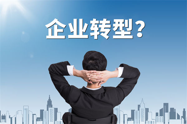 企業(yè)轉(zhuǎn)型無方向，數(shù)智化咨詢公司能否指引明路？